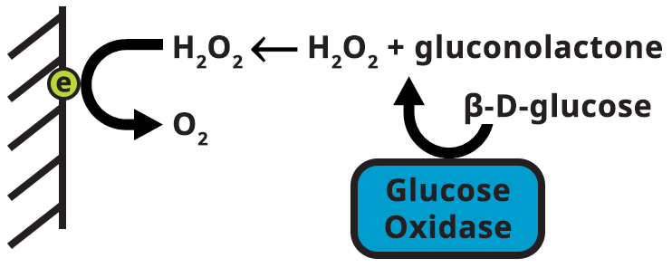 Electrode reaction for glucose detection
