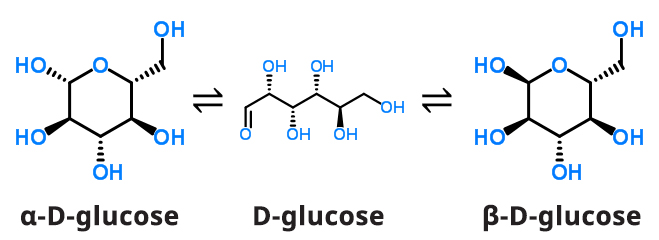 Mutarotation equilibrium of D-glucose