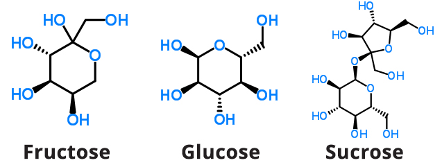 Fructose Glucose Sucrose Chemical Structures