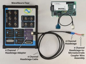 WaveNeuro Four Plus Bundle with 4-Channel Headstage Kit