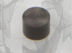 glassy carbon disk insert