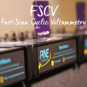 Fast-Scan Cyclic Voltammetry for Neuroelectrochemistry