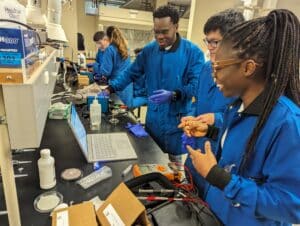 PXL_20240315_142012650