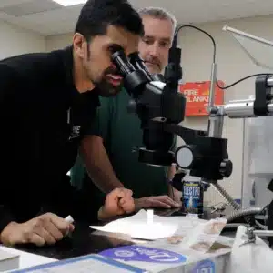 Inspecting and Testing Electrodes with Alex and Brent