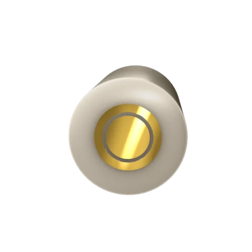 E6R2 Series Fixed-Disk Rotating Ring-Disk Electrode, Gold (Au) Disk, Gold (Au) Ring, PEEK separator/shroud