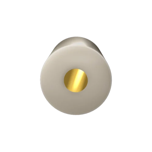 E5 Series Rotating Disk Electrode, Gold (Au), PEEK shroud