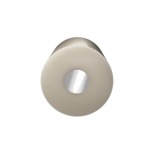 E5 Series Rotating Disk Electrode, Platinum (Pt), PEEK shroud
