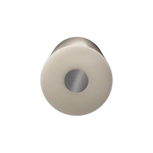 E5 Series Rotating Disk Electrode, Silicon (Si), PEEK shroud