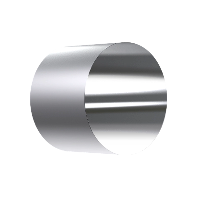 RDE/RRDE Disk Insert, 5 mm OD x 4 mm thick, Aluminum (Al)