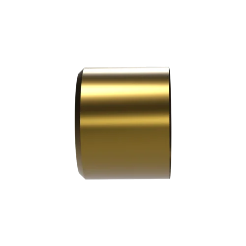 RDE/RRDE Disk Insert, 5 mm OD x 4 mm thick, Gold (Au)