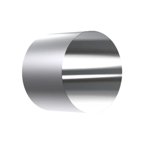 RDE/RRDE Disk Insert, 5 mm OD x 4 mm thick, Platinum (Pt)