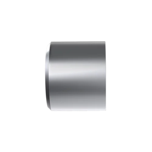 RDE/RRDE Disk Insert, 5 mm OD x 4 mm thick, Platinum (Pt)