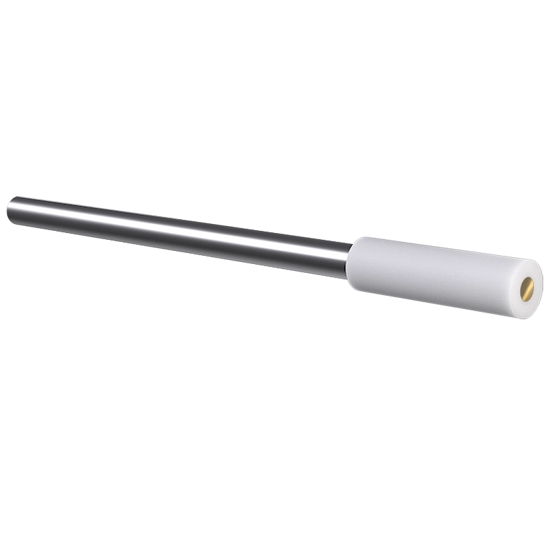 E1E Series Stationary Working Electrode, Gold (Au), PTFE shroud